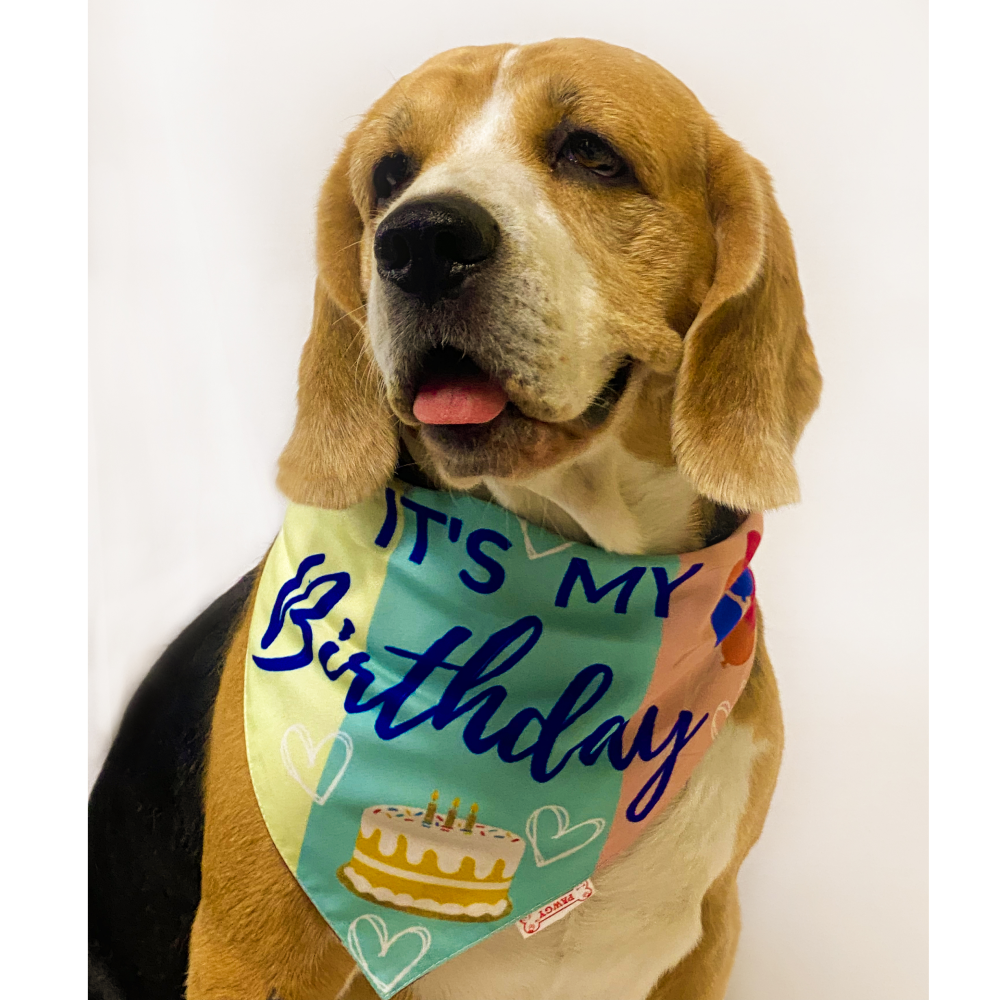 Pawgypets It’s My Birthday Bandana for Dogs and Cats