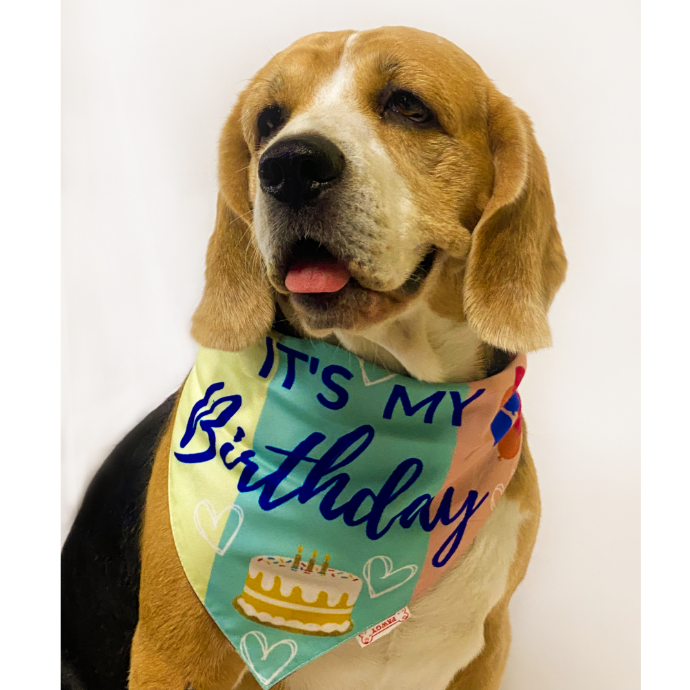 Pawgypets It’s My Birthday Bandana for Dogs and Cats Both-Clothing & Accessories Pawgypets Dropship L