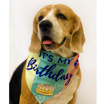 Pawgypets It’s My Birthday Bandana for Dogs and Cats