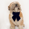Pawgypets Pigtail Bowtie for Dogs and Cats (Blue) Both-Clothing & Accessories Pawgypets Dropship