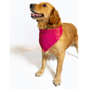 Pawgypets Occasion Wear Bandana for Dogs and Cats (Pink) Both-Clothing & Accessories Pawgypets Dropship M