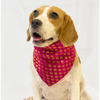 Pawgypets Occasion Wear Bandana for Dogs and Cats (Pink) Both-Clothing & Accessories Pawgypets Dropship