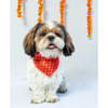 Pawgypets Occasion Wear Bandana for Dogs and Cats (Red) Both-Clothing & Accessories Pawgypets Dropship L