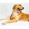 Pawgypets Occasion Wear Bandana for Dogs and Cats (White) Both-Clothing & Accessories Pawgypets Dropship S
