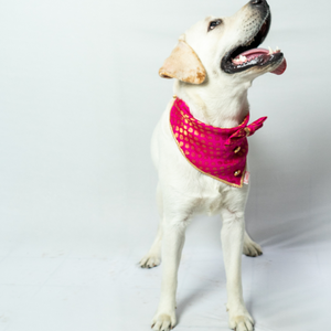 Pawgypets Occasion Wear Bow Bandana for Dogs and Cats (Pink)