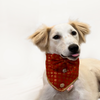 Pawgypets Occasion Wear Bow Bandana for Dogs and Cats (Red) Both-Clothing & Accessories Pawgypets Dropship