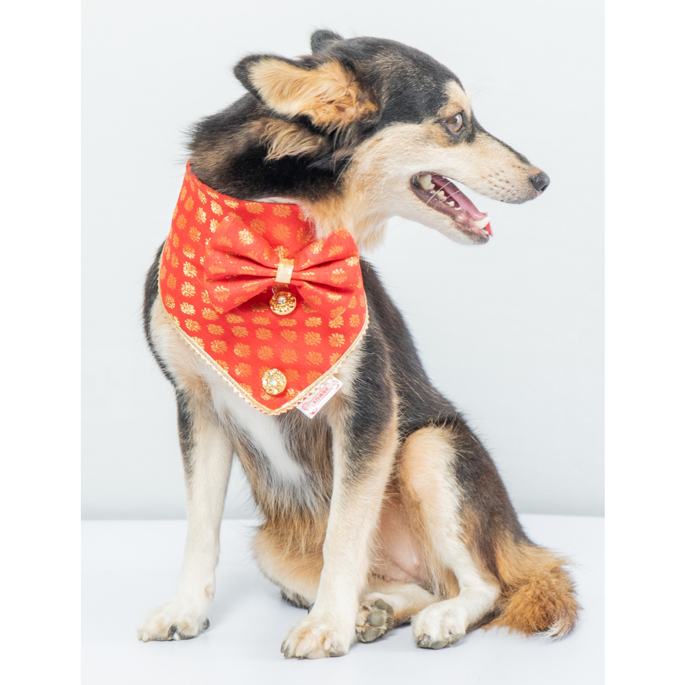 Pawgypets Occasion Wear Bow Bandana for Dogs and Cats (Red)