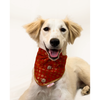 Pawgypets Occasion Wear Bow Bandana for Dogs and Cats (Red) Both-Clothing & Accessories Pawgypets Dropship S