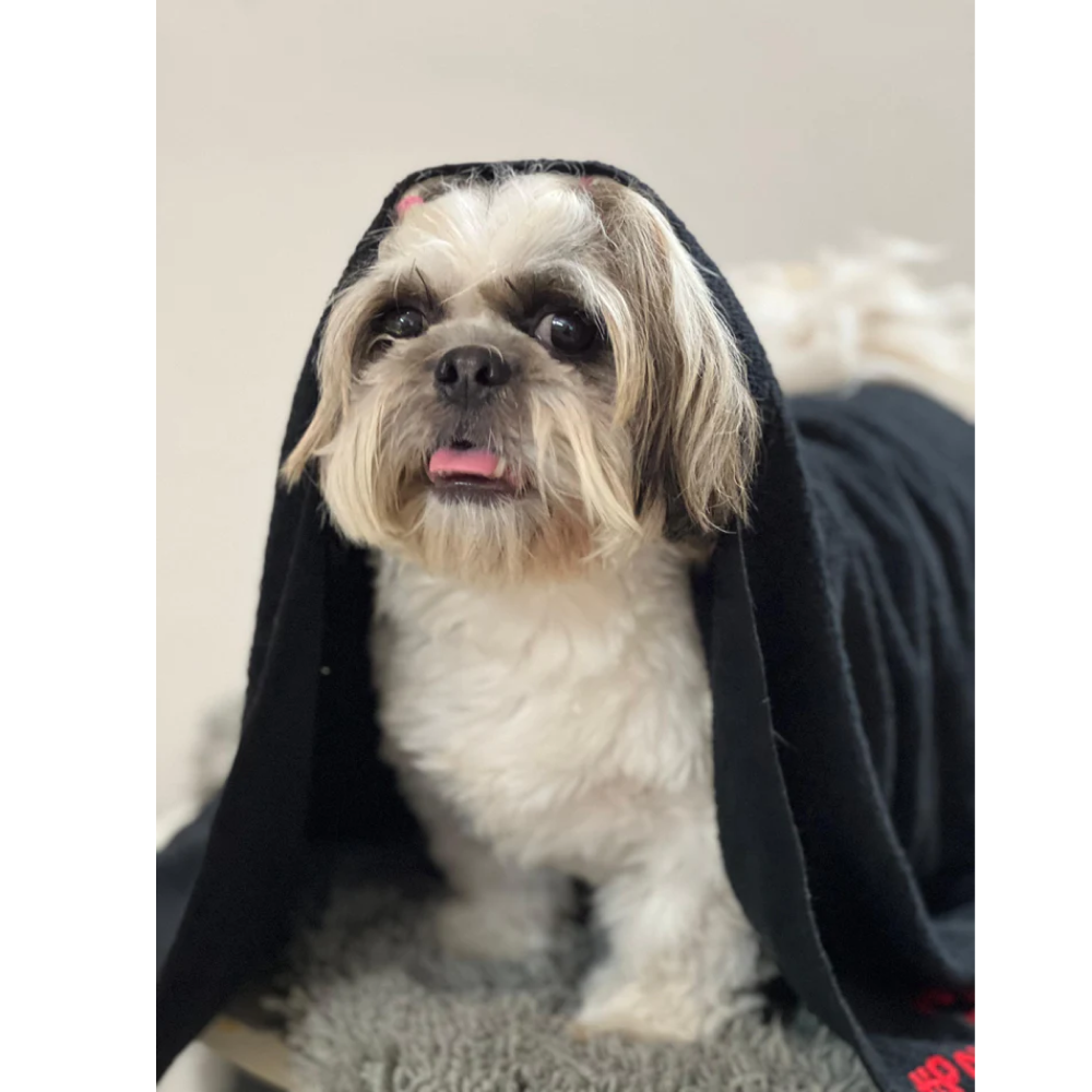 Pawgypets Pet Towel for Dogs and Cats (Black) Both-Grooming Supplies Pawgypets Dropship