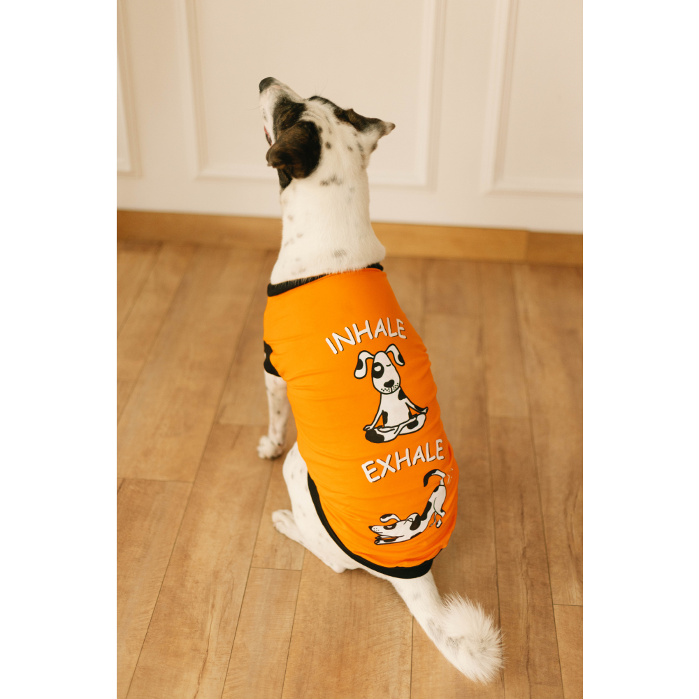Pet Set Go Inhale Exhale T-shirt for Dogs (Orange) Dogs-Clothing & Accessories Pet Set Go Dropship