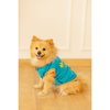 Pet Set Go Giraffe T-shirt for Dogs (Blue) Dogs-Clothing & Accessories Pet Set Go Dropship 14