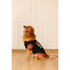 Pet Set Go Living My Best Life T-shirt for Dogs (Black) Dogs-Clothing & Accessories Pet Set Go Dropship
