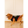 Pet Set Go Living My Best Life T-shirt for Dogs (Black) Dogs-Clothing & Accessories Pet Set Go Dropship