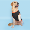 Pet Set Go Prince has Arrived T-shirt for Dogs (Black) Dogs-Clothing & Accessories Pet Set Go Dropship