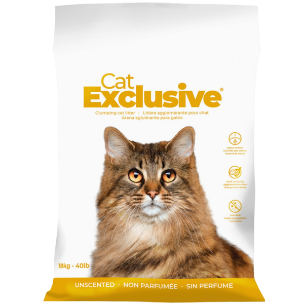 Intersand Cat&