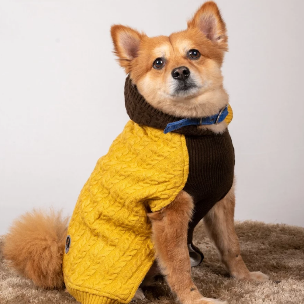 Petsnugs Cable Knit Sweater for Dogs and Cats (Brown/Mustard)