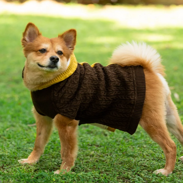 Petsnugs Cable Knit Sweater for Dogs and Cats (Brown/Mustard)