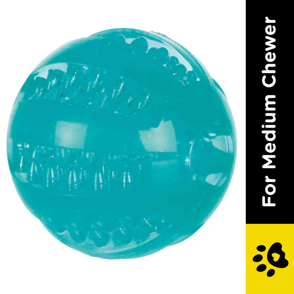 Trixie Denta Fun Ball Mint Flavour TPR Rubber Toy for Dogs