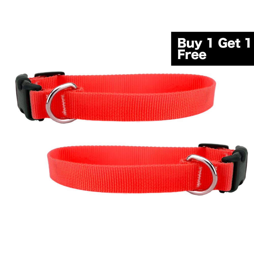 Skatrs Adjustable Collar with Bell for Cats & Kittens (Buy 1 Get 1) Both-Collar, Leashes, harnesses Skatrs Pack of 2