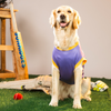 Pet Set Go Kolkata Woof Gliders IPL Jersey for Dogs (Purple) | Indian Pet League Dogs-Clothing & Accessories Pet Set Go Dropship