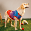 Pet Set Go Loyal Chewers Bangalore IPL Jersey for Dogs (Red) | Indian Pet League Dogs-Clothing & Accessories Pet Set Go Dropship