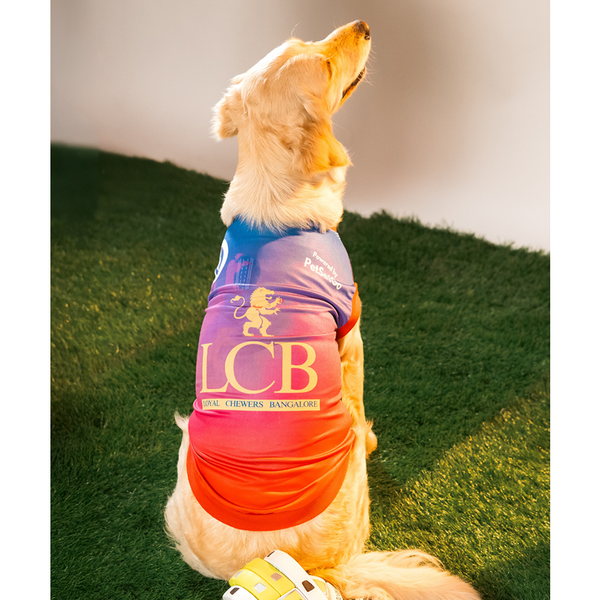 Pet Set Go Loyal Chewers Bangalore IPL Jersey for Dogs (Red) | Indian Pet League