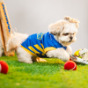 Pet Set Go Mumbai Woofians IPL Jersey for Dogs (Blue) Dogs-Clothing & Accessories Pet Set Go Dropship