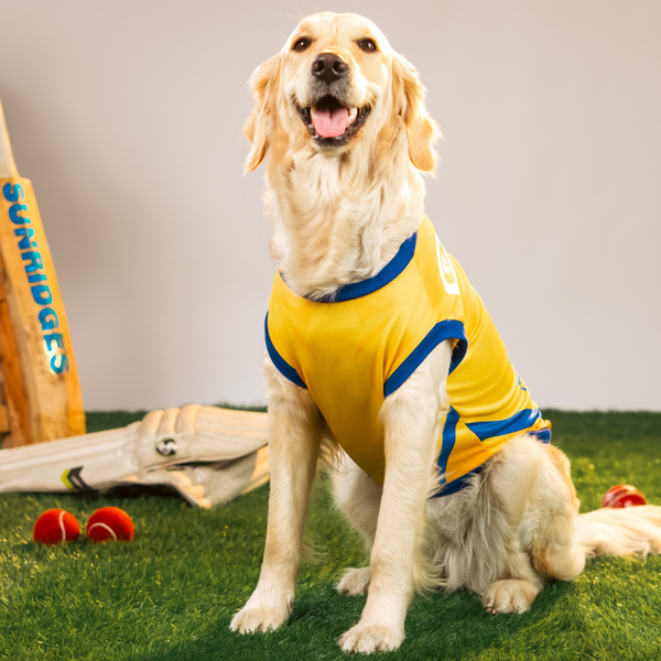 Pet Set Go Chennai Super Paws IPL Jersey for Dogs (Yellow) | Indian Pet League
