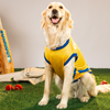Pet Set Go Chennai Super Paws IPL Jersey for Dogs (Yellow) | Indian Pet League Dogs-Clothing & Accessories Pet Set Go Dropship