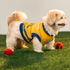 Pet Set Go Chennai Super Paws IPL Jersey for Dogs (Yellow) | Indian Pet League Dogs-Clothing & Accessories Pet Set Go Dropship