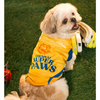 Pet Set Go Chennai Super Paws IPL Jersey for Dogs (Yellow) | Indian Pet League Dogs-Clothing & Accessories Pet Set Go Dropship M