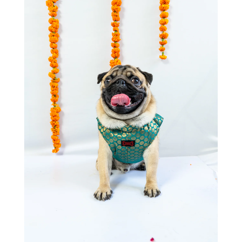 Pawgypets Sherwani for Dogs and Cats (Blue) Both-Clothing & Accessories Pawgypets Dropship 3XL