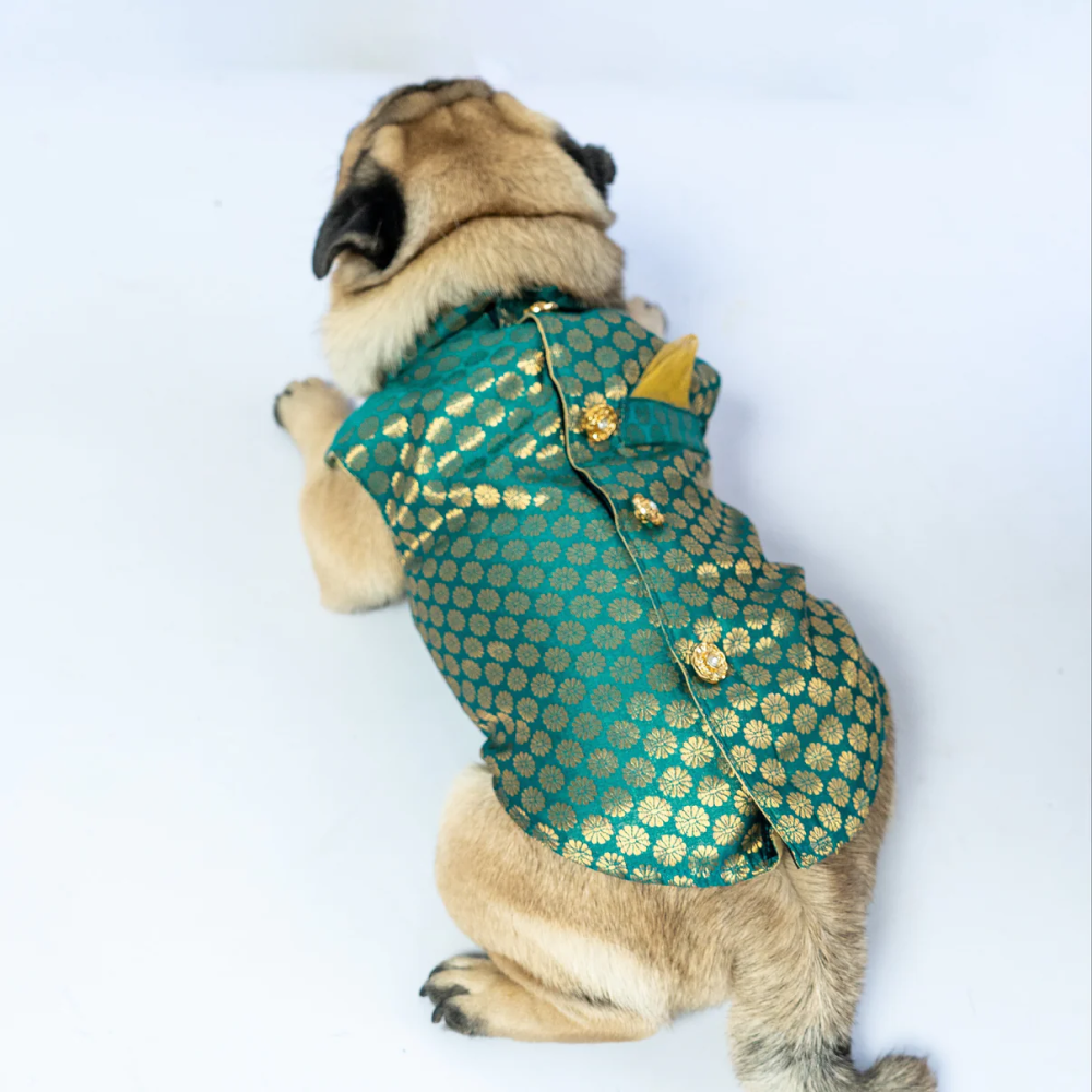 Pawgypets Sherwani for Dogs and Cats (Blue) Both-Clothing & Accessories Pawgypets Dropship