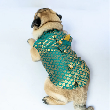 Pawgypets Sherwani for Dogs and Cats (Blue)