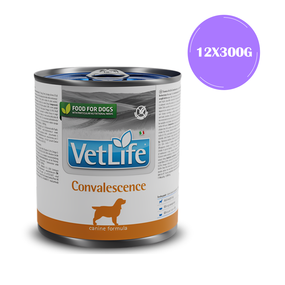 Farmina Vet Life Convalescence Canine Formula Dog Wet Food Dogs-Wet Food Farmina Vet Life 12x300g