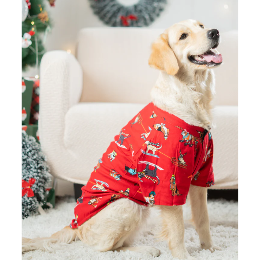 Pet Set Go Dashing through the Snow Shirt for Dogs (Red) Dogs-Clothing & Accessories Pet Set Go Dropship 14