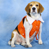Dogobow Denim Jacket for Dogs and Cats (Orange) (Get a Bow Free) Both-Clothing & Accessories Dogobow Dropship XS