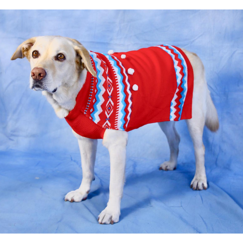 Dogobow Aztec Knit Sweater for Dogs and Cats (Red) (Get a Bow Free) Both-Clothing & Accessories Dogobow Dropship