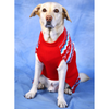 Dogobow Aztec Knit Sweater for Dogs and Cats (Red) (Get a Bow Free) Both-Clothing & Accessories Dogobow Dropship
