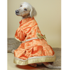 Pawgypets Luxe Brocade Dress Dogs and Cats (Orange) Both-Clothing & Accessories Pawgypets Luxe Dropship M
