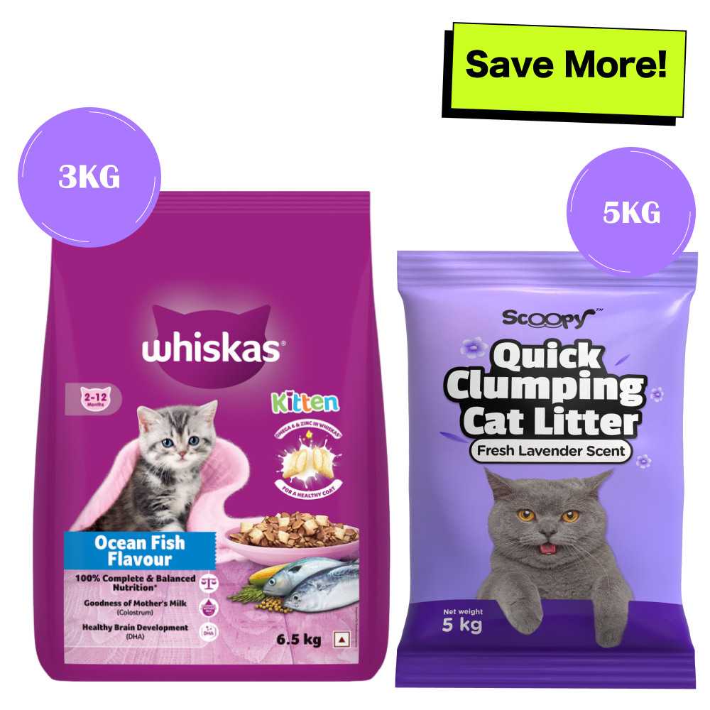 Whiskas Ocean Fish Kitten Cat Dry Food