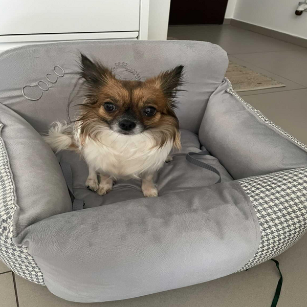 Chloe's Home Car Bed Berlin for Dogs and Cats (Grey) Supertails