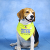 Dogobow Cutie on Duty Bandana for Dogs (Yellow) Dogs-Clothing & Accessories Dogobow Dropship M