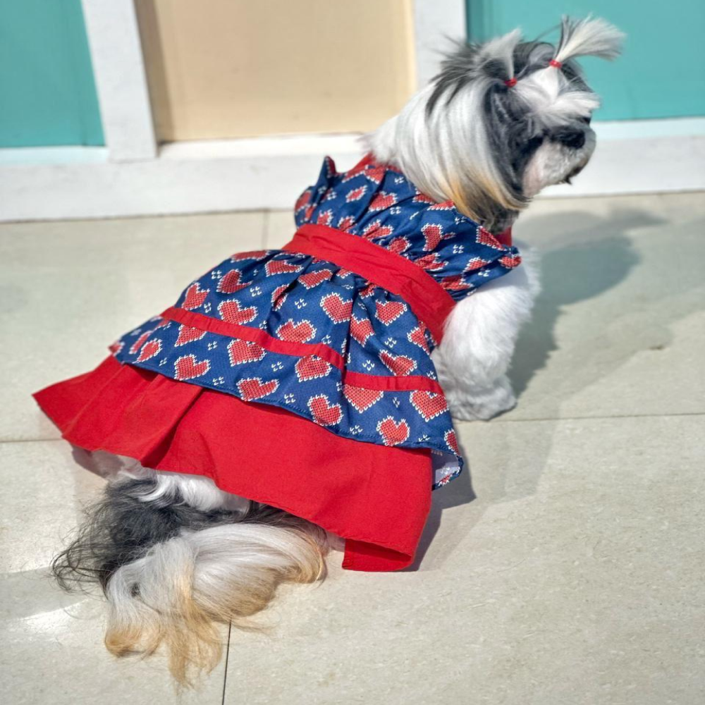 Dogobow Hearty Dress for Cats and Dogs (Blue/Red)