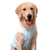 Pets Way Reversible Cozy Quilt Fur Winter Jacket for Dogs (Sky Blue) Dogs-Clothing & Accessories Pets Way Dropship