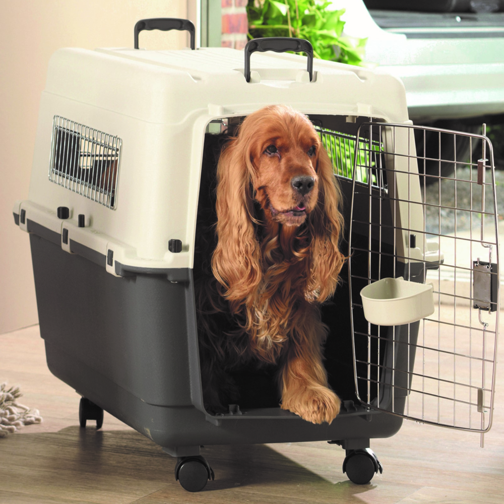 Savic Andes 5 Carrier for Dogs and Cats (Ivory) Both-Bedding, Mats & Travel Supplies Savic Dropship