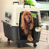 Savic Andes 5 Carrier for Dogs and Cats (Ivory) Both-Bedding, Mats & Travel Supplies Savic Dropship