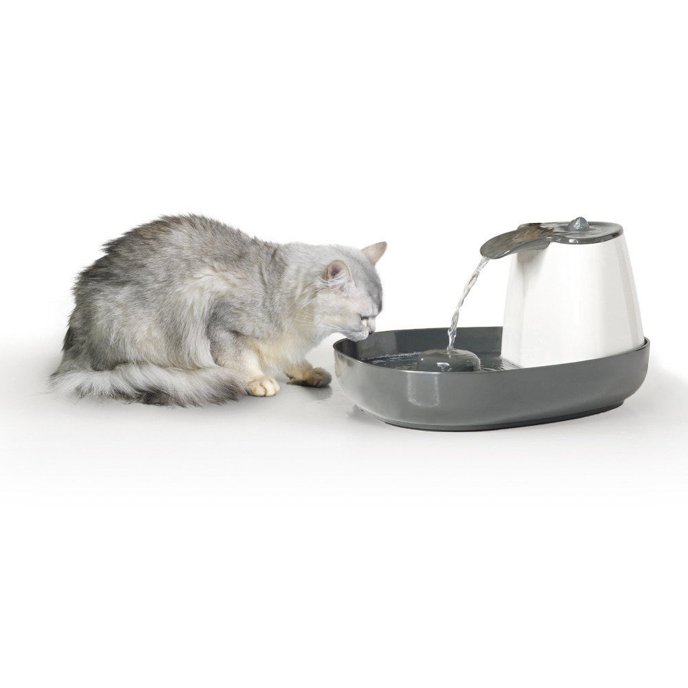 Savic Cascade Anthracite Water Fountain for Cats (Grey) Cats-Bowls & Feeders Savic Dropship 35x28x20in