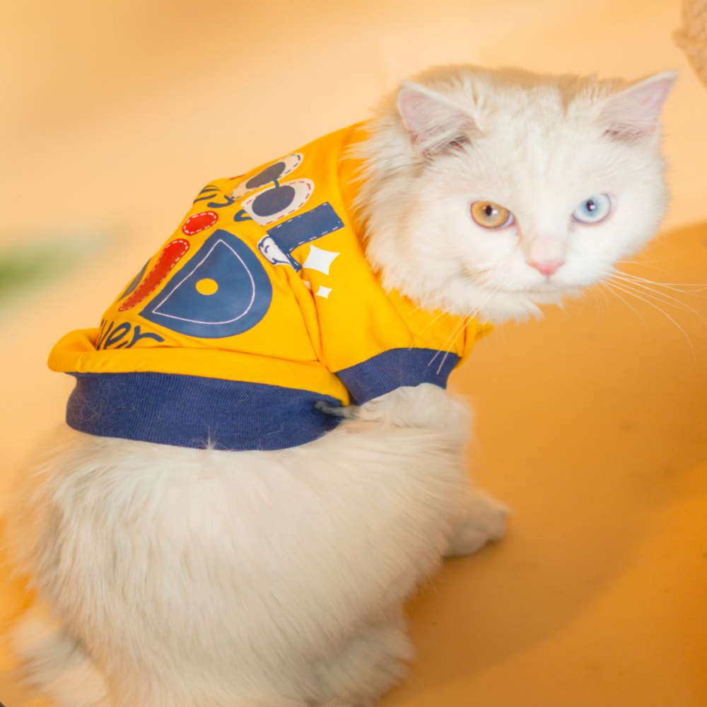 Pet Set Go Coolest Kid T-shirt for Cats (Yellow)