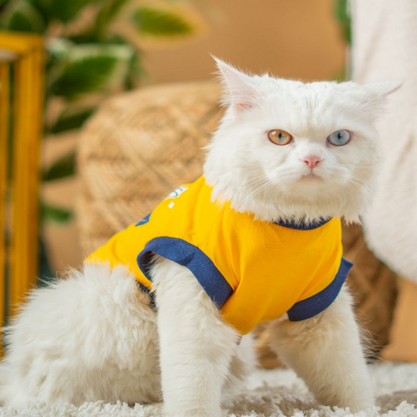 Pet Set Go Coolest Kid T-shirt for Cats (Yellow)